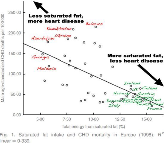 Grassi sani non provocano malattie cardiache